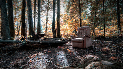 old chair in the forrest