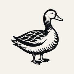 Obraz premium Duck Vector art Illustration
