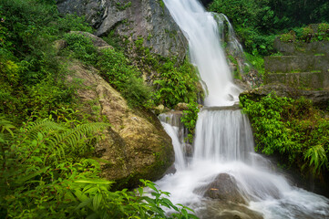 Fototapeta premium Beautiful Paglajhora waterfall on Kurseong, Himalayan mountains of Darjeeling, West Bengal, India. Origin of Mahananda River flowing through Mahananda Wildlife Sanctuary, Siliguri and Jalpaiguri.