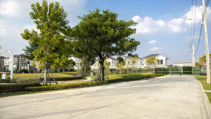 Fototapeta premium serene residential area with clear skies and a well-maintained environment. In the foreground, there is a concrete road leading towards the homes in the background. Lush green trees line the road, sup