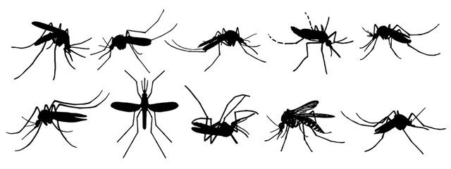 vector silhouette set of mosquitoes for malaria day and dengue fever day