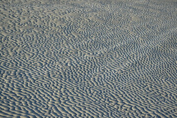 San ripples at the beach