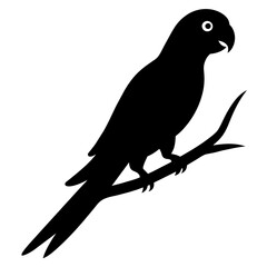 Parrot bird silhouette - cut out vector icon
