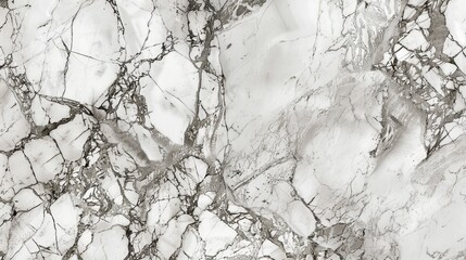 Obraz premium Elegant White and Grey Marble Surface with Intricate Veining and Luxurious Polished Finish for Timeless Design Concepts