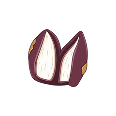 ナツメヤシの果実（種無し）