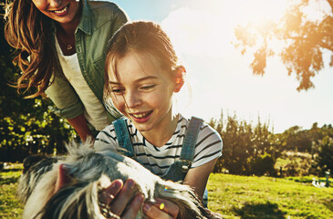 Park, mother and girl with dog, play and sunshine with weekend break, happiness and nature. Family,...