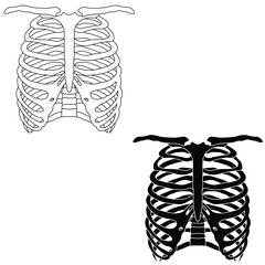 Ribcage. illustration. Skeleton Human Rib cage line art vector. 