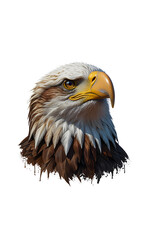 eagle head, t-shirt design, sticker