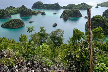 The landscape image of the archipelago of Raja Ampat, Southwest Papua, Indonesia.