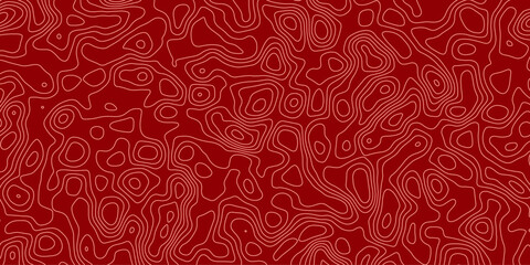 Abstract topology topographic line map 