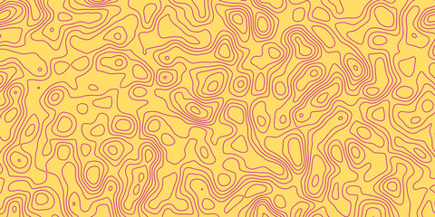 Abstract topology topographic line map 