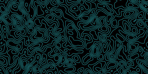 Abstract topology topographic line map 