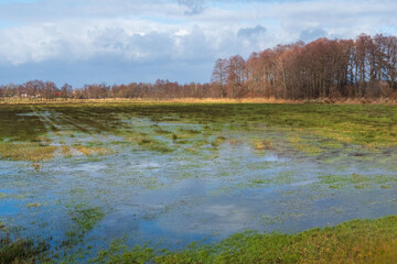 Überschwemmte Wiesen nach Dauerregen