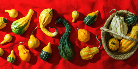 Assorted Mini Pumpkins on Red Fabric, colorful selection of mini pumpkins and gourds lie in wicker...