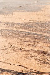 Abstract relief rough gritty neutral beige surface of background texture. Aesthetic pattern on sandstone. Top view textured sand, natural ornament or wallpaper, macro photo shore salt lake