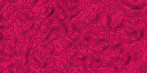 Abstract topography wavy line map.