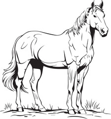 horse vector illustration white and black