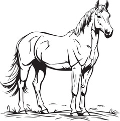 horse vector illustration white and black