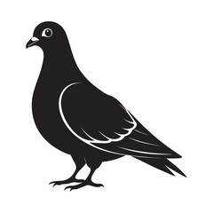 Silhouette pigeon bird animal black vector illustration