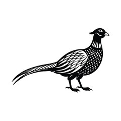 silhouette of a pheasant on white