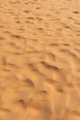 Desert sand  patern at Red sand  dune , Mui ne, Vietnam