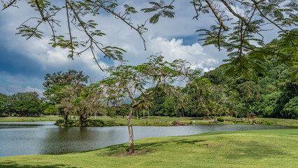 Trees grow on a green lawn by the lake in a tropical park. A gazebo and golf carts are visible in...