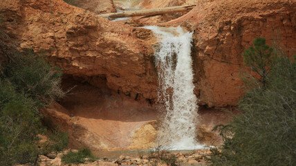 An oasis with a waterfall cave in Bryce Canyon National Park