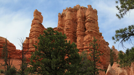 Orange sandstone rock formations in Bryce Canyon National Park