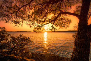 rocky croatian coast, Croatia, Europe, Adriatic sea, coast between Primosten and Sibenik