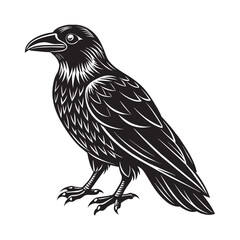 Minimalist Simple Raven silhouette Crow Illustration