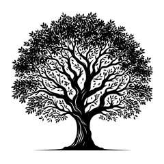 Obraz premium Tree vector icon white background graphics resources