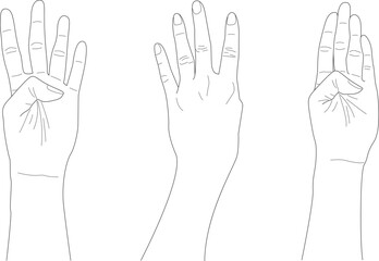 doodle four finger hands with different gesture, hand drawn, outline vector, counting hand	