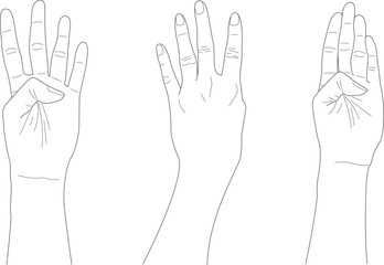 Obraz premium doodle four finger hands with different gesture, hand drawn, outline vector, counting hand 