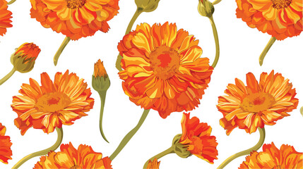 Colorful seamless pattern with orange calendula flowe