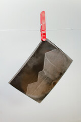 Large format black and white film negative hanging to dry