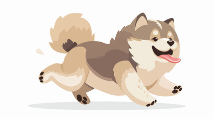 Cute Chinese Alaskan Malamute puppy running with tongue