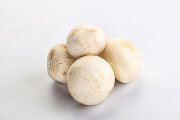 Natural organic ripe champignon mushrooms