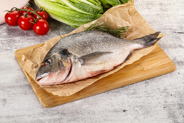 Raw dorada fish served rosemary
