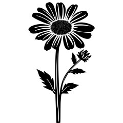 Daisy silhouette, daisy svg, daisy png, daisy illustration, Daisy, Silhouette flower, floral svg, herb svg, flower illustration, flower, floral, vector, nature, illustration, spring, design, pattern, 