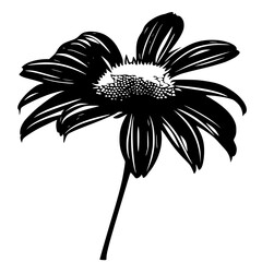 Daisy silhouette, daisy svg, daisy png, daisy illustration, Daisy, Silhouette flower, floral svg, herb svg, flower illustration, flower, floral, vector, nature, illustration, spring, design, pattern, 