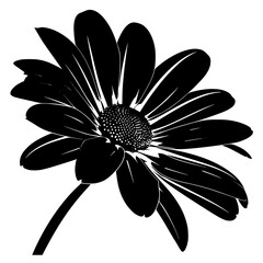 Daisy silhouette, daisy svg, daisy png, daisy illustration, Daisy, Silhouette flower, floral svg, herb svg, flower illustration, flower, floral, vector, nature, illustration, spring, design, pattern, 