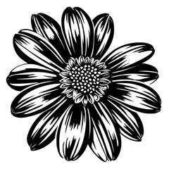 Daisy silhouette, daisy svg, daisy png, daisy illustration, Daisy, Silhouette flower, floral svg, herb svg, flower illustration, flower, floral, vector, nature, illustration, spring, design, pattern, 