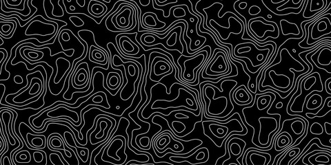 Cartographic motion harmonizing science with creative artistry

