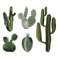 Set of cacti. Plants for the home. Floriculture. Desert flora. Isolated watercolor illustration on white background. Clipart.