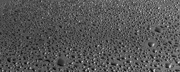 Water drops on a black background. Texture