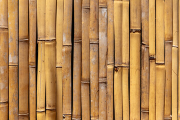 Dry bamboo fence as an abstract background. Texture