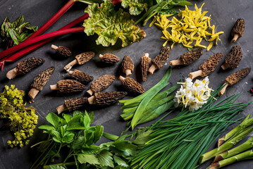 different foraging  vegetables and herbs