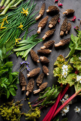 different foraging  vegetables and herbs