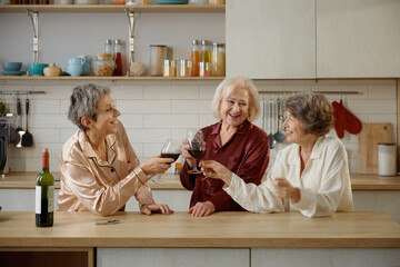 Happy senior women best friends toasting wine glasses at home kitchen