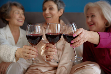 Attractive aged females clinking wineglasses celebrating bonding and friendship